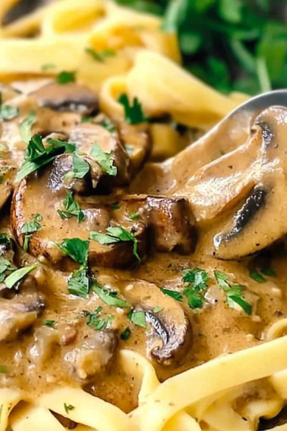 „Veganes Pilz-Stroganoff auf Bandnudeln mit einer cremigen Sauce.“