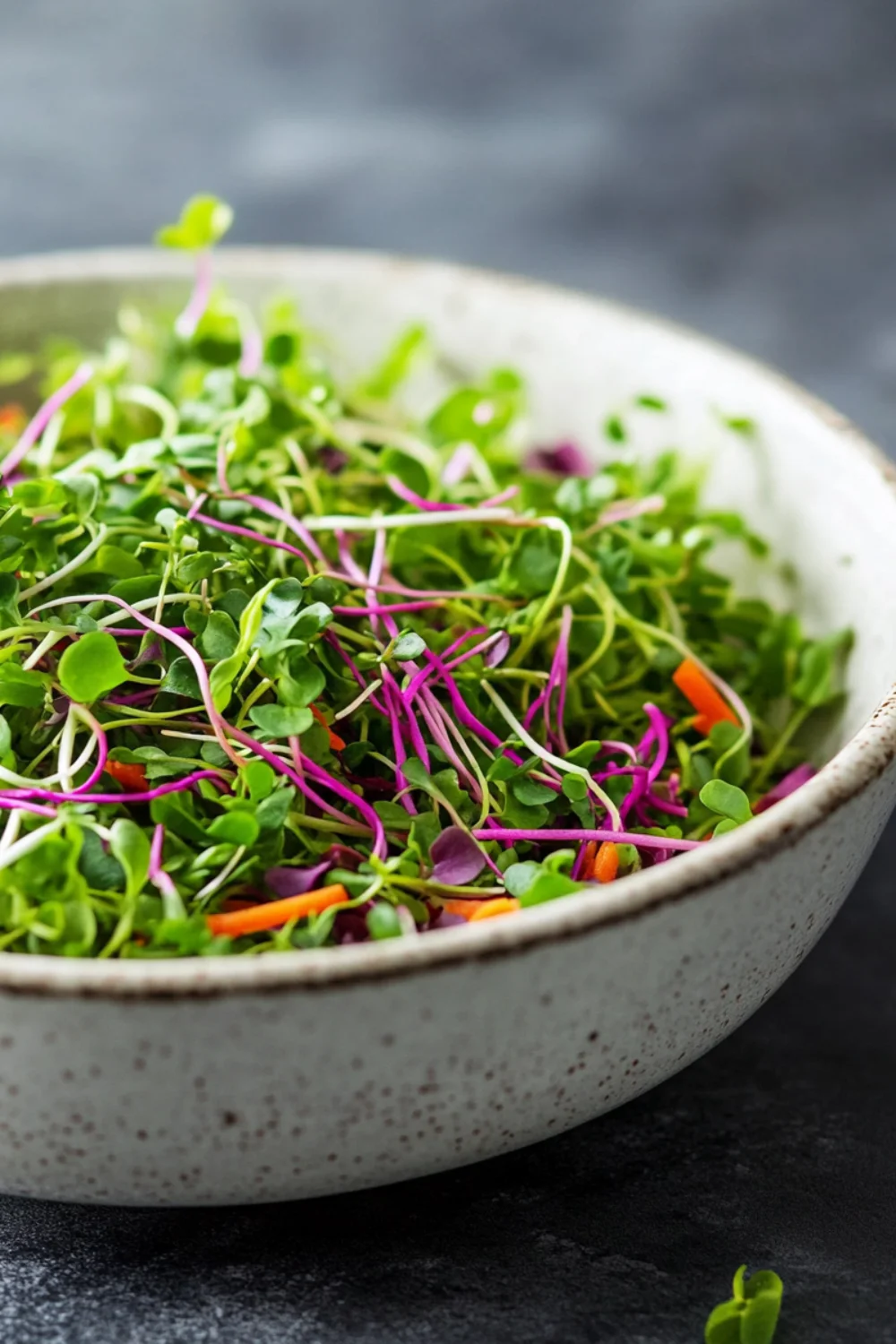 Ein gesunder und frischer Super Microgreens-Salat, der eine Mischung aus leuchtenden, grünen und lilafarbenen Mikrogrün enthält, zusammen mit frischen Karottenstreifen.